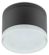 Redo 90107 - Външно LED осветление за таван AKRON 1xLED/9W/230V IP54