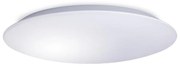 LED баня таванно осветление AVESTA LED/45W/230V 4000K IP54