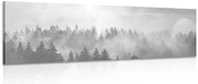 Картина на платно – Мъгла над гората в черно и бяло