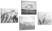 Комплект картини – Магията на черно-белия пейзаж