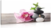 Картина на платно – Хармонично дзен натюрморт