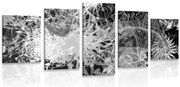 картини от 5 части – Черно-бяло абстрактно изкуство