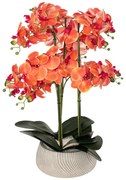 Изкуствено цвете atmosphera Sanae Orchid, 65 cm