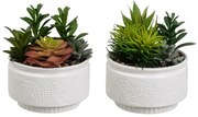 Изкуствени растения в комплект от 2 бр. (височина 19 cm) Cactus – Casa Selección