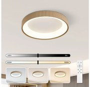 Brilagi - LED димируем плафон FALCON MODERN LED/30W/230V 40 cm бежов+ДУ