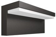 Philips 16483/93/P3 - LED външно стенен осветител BUSTAN 2xLED/4,5W IP44