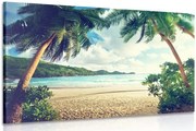 Картина на платно – Залез на остров Сейшели
