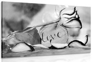 Картина на платно – Романтично признание в черно-бяло Love