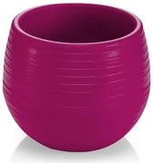 Serinova - Саксия за кактус №1 130ml - лилава