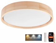 Brilagi - LED таванно осветление MANAROLA SMART LED/24W/230V + DO Tuya