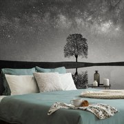 Фототапет – Черно-бяло звездно небе над самотно дърво