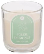 Ароматна свещ atmosphera Floa, Стъкло, 210 g - Monoi