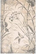 Кремав вълнен килим 300x400 cm Botany – Agnella