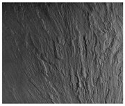 Стъклен капак за стената до печката, 60 x 50 cm - Wenko