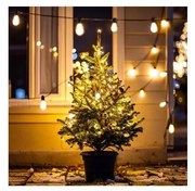 Brilagi - LED външна коледна гирлянда 10xLED/3xAA 3,2m IP44 топло бяло