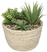 Изкуствено растение atmosphera Hacienda, 17x19cm