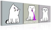 Платнен печат - Miezekotze: Cat Trio 120x40