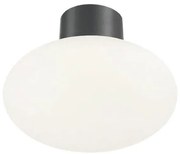 Ideal Lux - Външно таванно осветително тяло CLIO 1xE27/42W/230V IP44 антрацит