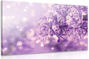 Картина на платно – Лилав цвят на люляк