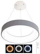 Ecolite WMKL02R-40W/LEDSED - LED Димируем полилей NEST LED/40W/230V 3000-6500K + д.у.