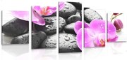 картини от 5 части – Красива игра на камъни и орхидея
