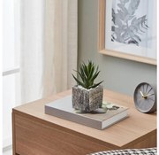 Eglo 428008 - Изкуствено растение CHITOSE 13x9,5 см, сукулент в саксия