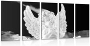 картини от 5 части – Черно-бял внимателен ангел на небето