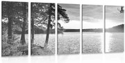 картини от 5 части – Залез над езеро в черно-бяло