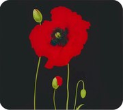 Капак за стена на готварска печка от закалено стъкло 50x56 cm Poppy - Maximex