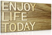 Картина на платно – С цитат - Enjoy life today