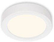 Briloner 7124-016 - LED Димируем плафон FIRE LED/12W/230V 3000K