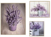 Картини в комплект 3 бр. 40x50 cm Purple Flowers – knor
