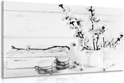 Картина на платно – Рустикален натюрморт в черно-бяло