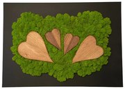 Стилна картина от мъх със сърца 70 x 50 cm