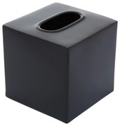 Метална кутия за носни кърпички Allegra - Premier Housewares