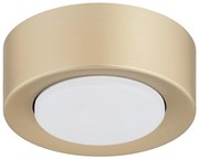 Argon 8903 - Плафон ELORA 1xGX53/7W/230V, диаметър 11 см, златист