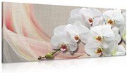 Картина на платно – Бяла орхидея на платно