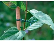 Nortene - Тел с пластмасово покритие AP-FIX - 25м