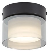 Модерна таванна лампа черна с димно стъкло - Puck