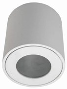 Екстериорна лампа FARA 1xGU10/50W/230V IP54 бяла