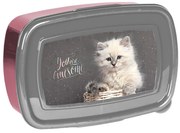 Paso - Кутия за храна CAT