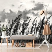 Фототапет – Трева в черно-бяло