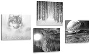 Комплект картини – Загадъчен вълк в черно-бяло