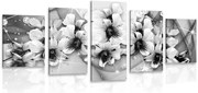 картини от 5 части – Черно-бели цветя на абстрактен фон