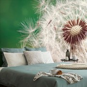 Фототапет – Великолепен детайл на глухарче