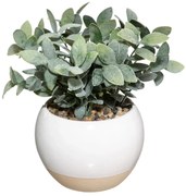 Изкуствено растение atmosphera, 19 cm, Различни видове