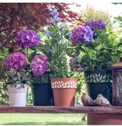 Stefanplast - Саксия с подложка Cloe,25 см - Графит