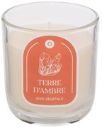 Ароматна свещ atmosphera Floa, Стъкло, 210 g - Amber