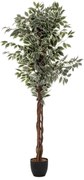 Изкуствено растение atmosphera Fig Tree, 180 cm, Двуцветно
