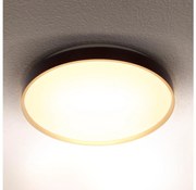 Brilagi - LED Плафониера CALA LED/24W/230V